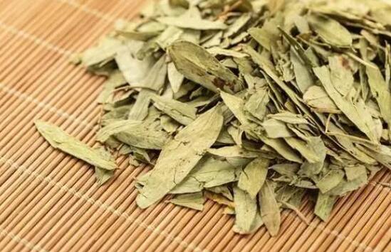 番泻叶功效与作用（番泻叶功效与作用的功能与主治）