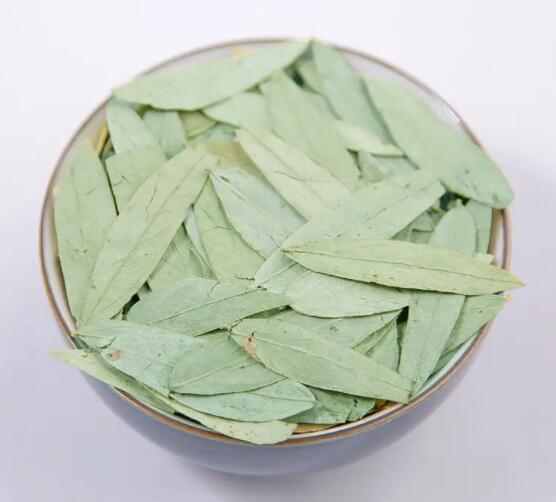 番泻叶的药理作用（番泻叶的作用及功效）