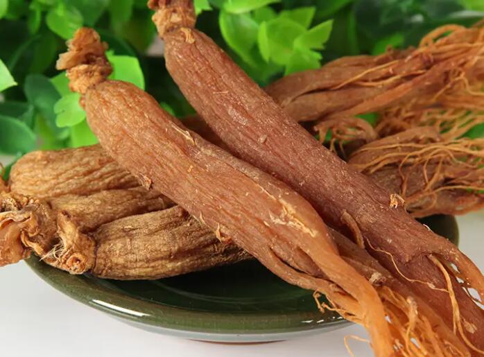 红参有什么作用（北极红参有什么作用）