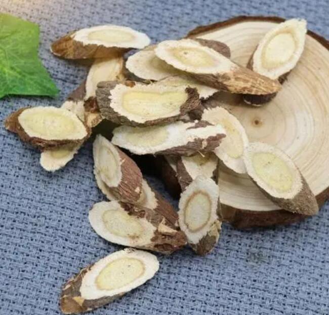 红芪功效与作用（红芪的作用与禁忌）