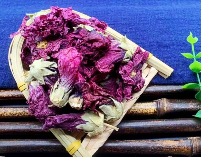 芙蓉的作用与功效（芙蓉的应用）