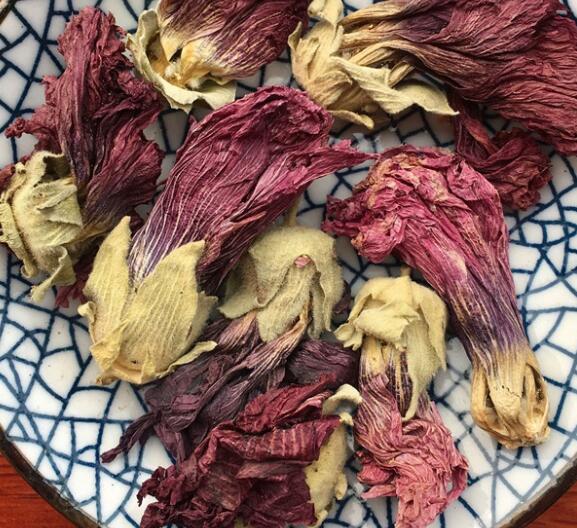 芙蓉的功效与作用（芙蓉叶的使用方法）