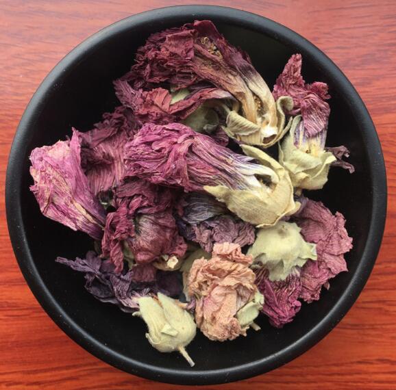芙蓉花的作用与功效 芙蓉花能治什么病