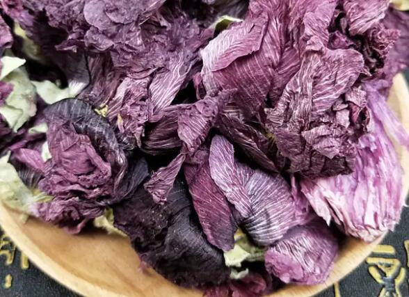 芙蓉花的简介（芙蓉花的作用与功效）