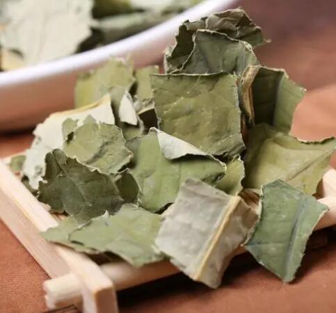 荷叶的功效和作用（荷叶的主治与用量）