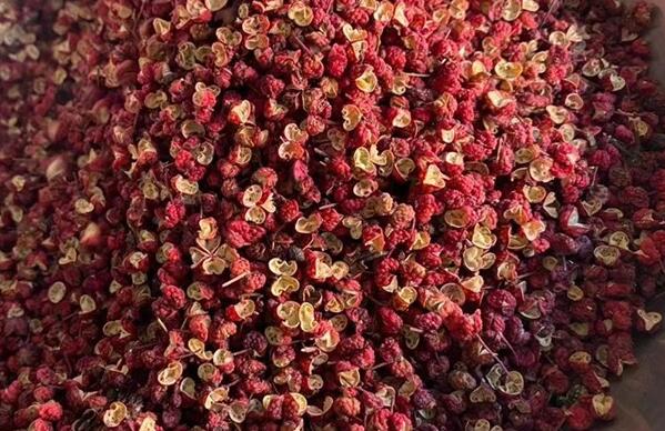 花椒的功效与作用（花椒的营养成分）