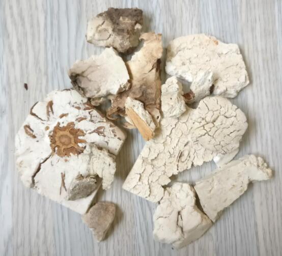 桂枝茯苓的主要成分（桂枝茯苓作用与功效）