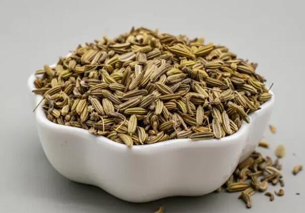 大茴香籽的功效与作用 大茴香籽有什么药用价值