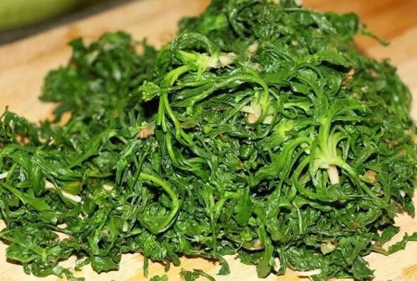 荠菜的概述（荠菜功效与作用营养价值）