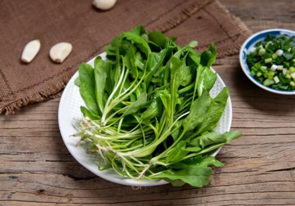 荠菜的功效与作用（荠菜的禁忌和食用方法）
