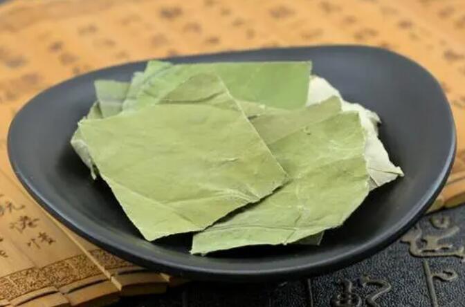 荷叶作用与功效有哪些 荷叶注意事项