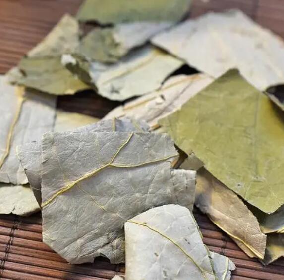 荷叶的作用（荷叶的功能与主治）