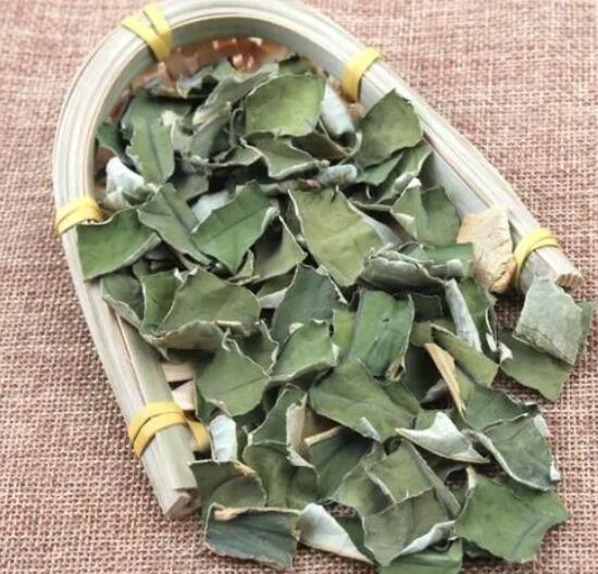 荷叶功效与作用（如何使用荷叶）
