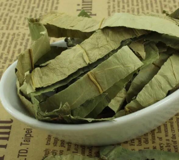 荷叶的作用是什么（荷叶的作用和用途）