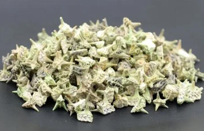 蒺藜功效与作用（白蒺藜的功效与作用）