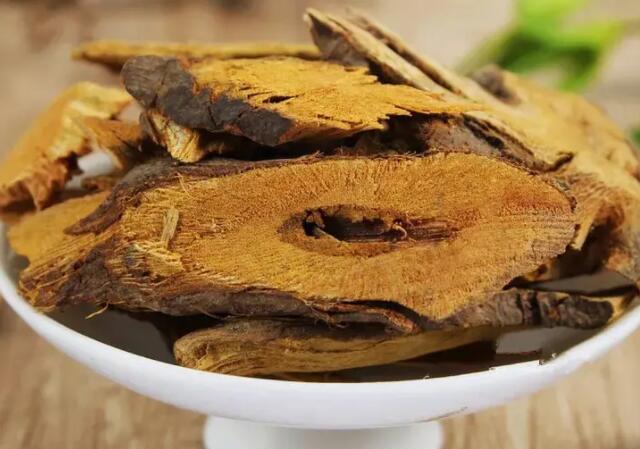什么是虎杖（虎杖的药效是什么）