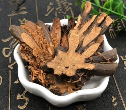 贯众功效与作用（贯众的主治）