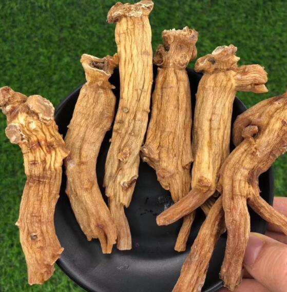 高丽参的功效与作用（高丽参的功能与主治）