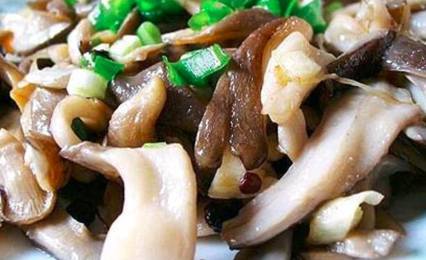 针蘑菇怎么做好吃（针蘑菇的做法大全）