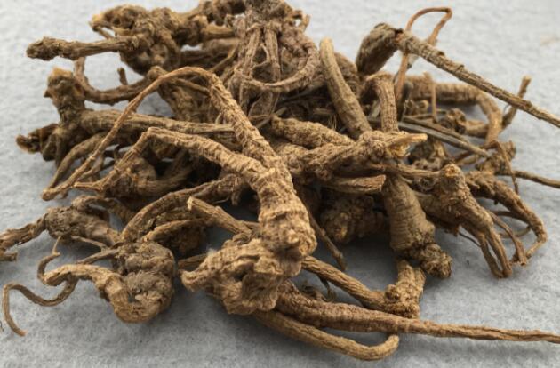 中药金鸡脚的功效与作用 金鸡脚的药用价值