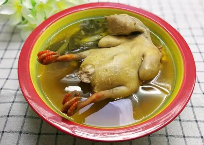 鸽子功效与作用（三七炖鸽子功效与作用）