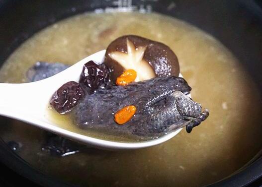 乌鸡的营养成分（乌鸡的功效与作用）
