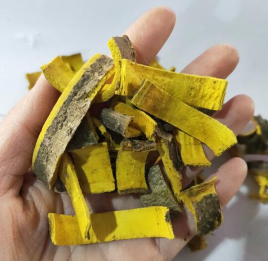 黄柏对皮肤的作用（黄柏作用功效与作用）