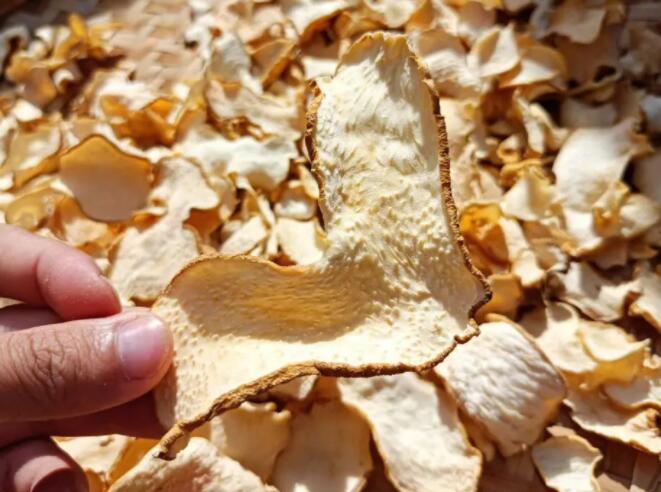 黄精的副作用(黄芪泡水能提高性功能吗)