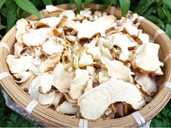 黄精的功效和作用（玉竹的功效和作用）