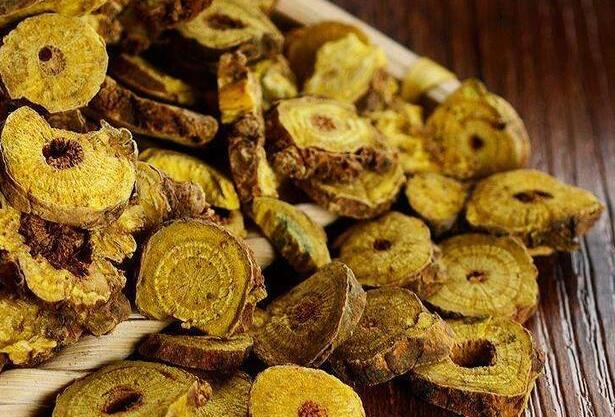 黄芪的功效与作用 黄芪泡水能补血吗