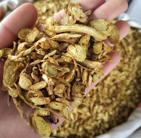 黄芪的作用（黄芪可以提高免疫力吗）