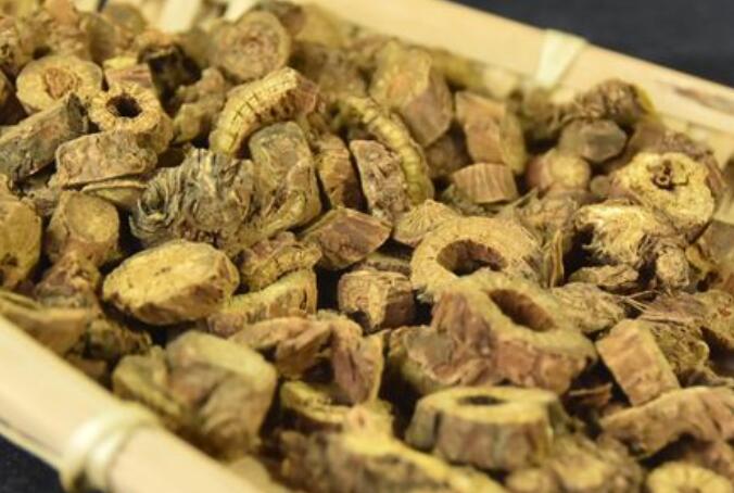 黄芪的功效与作用是什么样 黄芪增强免疫力效果好吗