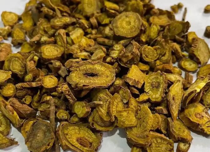 黄芪的功效和作用（阴虚能吃黄芪吗）