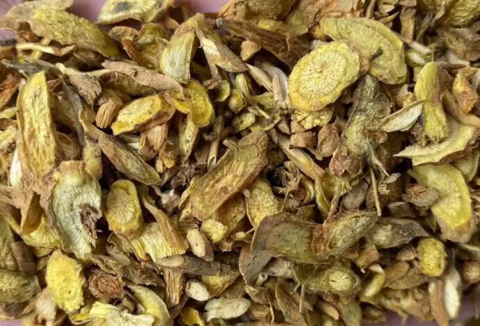 黄芪药理作用（黄芪药理作用主要内容）