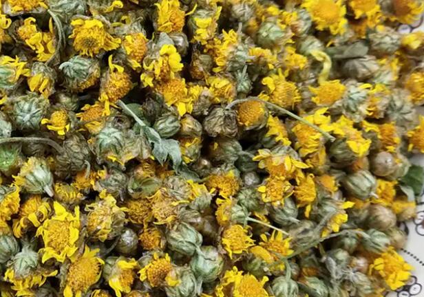 黄花的作用与功效（菊花的作用和功能主治）