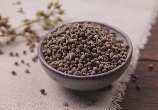 黄荆子的功效与作用（黄荆子的注意事项）