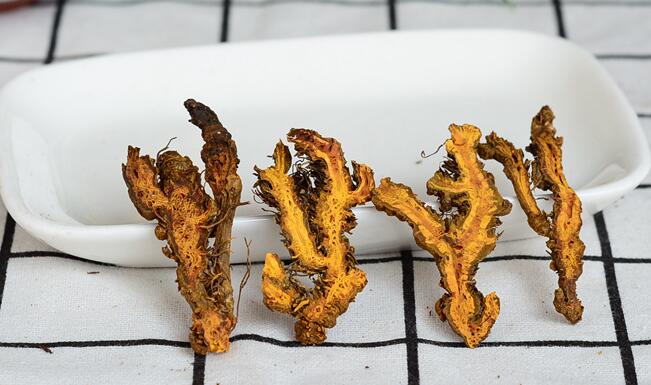 黄莲有什么作用（黄莲的副作用和注意事项）