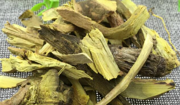 刺黄连的功效与作用 刺黄连的副作用