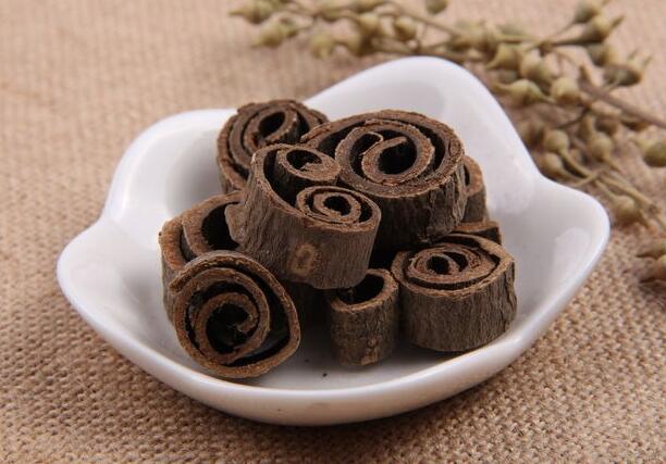 中药厚朴的介绍（中药厚朴的作用和用量）