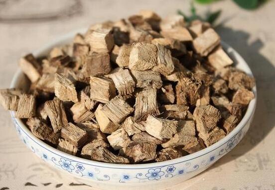 药葛根的功效与作用（药葛根的营养作用）