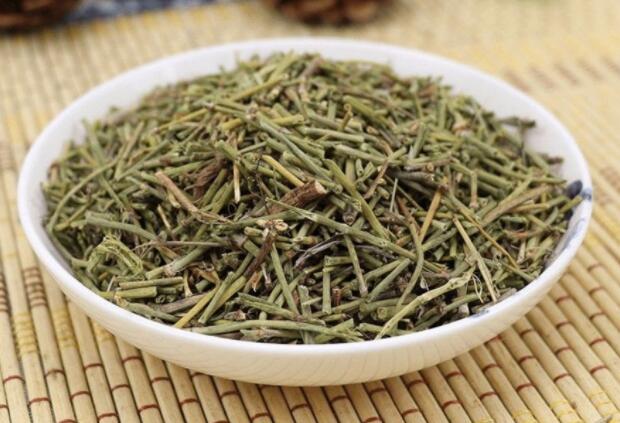 麻黄的概述（中药麻黄的作用与功效禁忌是什么）