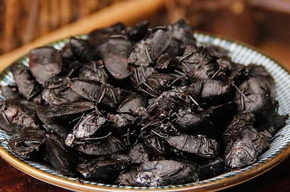 什么是九香虫（九香虫的作用及功效）