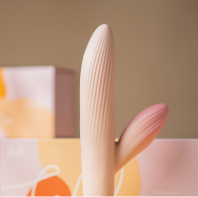 女同性恋用什么情趣用品（女同性恋用什么情趣用品最好）