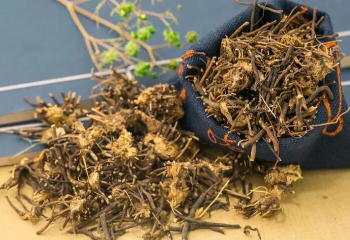 了解威灵仙(威灵仙的功效与作用)