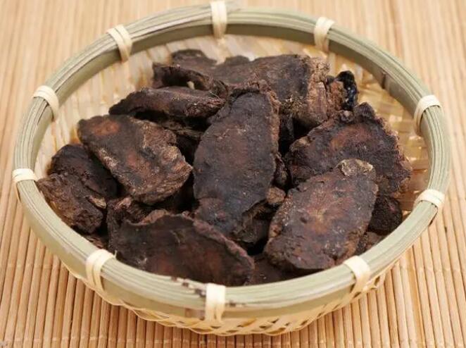 生地黄的功效和作用（生地黄的主治与用量）
