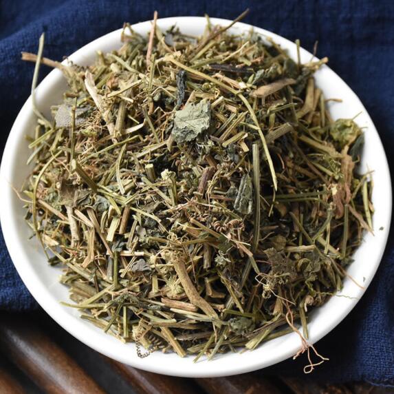 绞股蓝的作用与功效（绞股蓝的副作用）