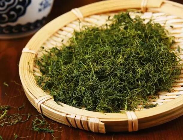 绞股蓝的功效与作用（绞股蓝的药用与价值）