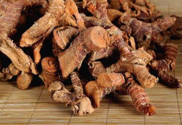 良姜功效与作用（花叶良姜功效与作用）