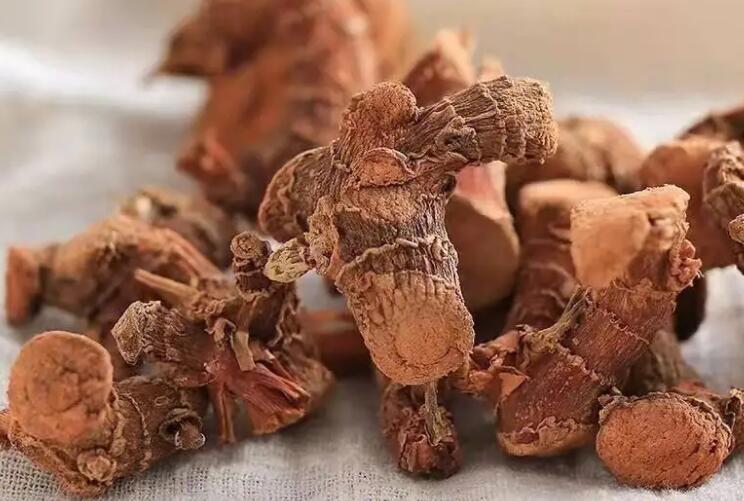良姜的功效与作用（洋姜的功效与作用及食用方法）