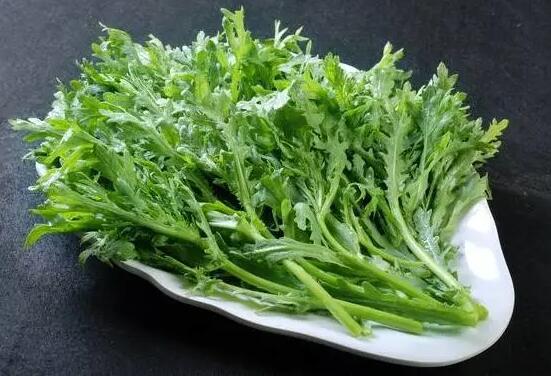茼蒿的功效与作用（茼蒿的禁忌）